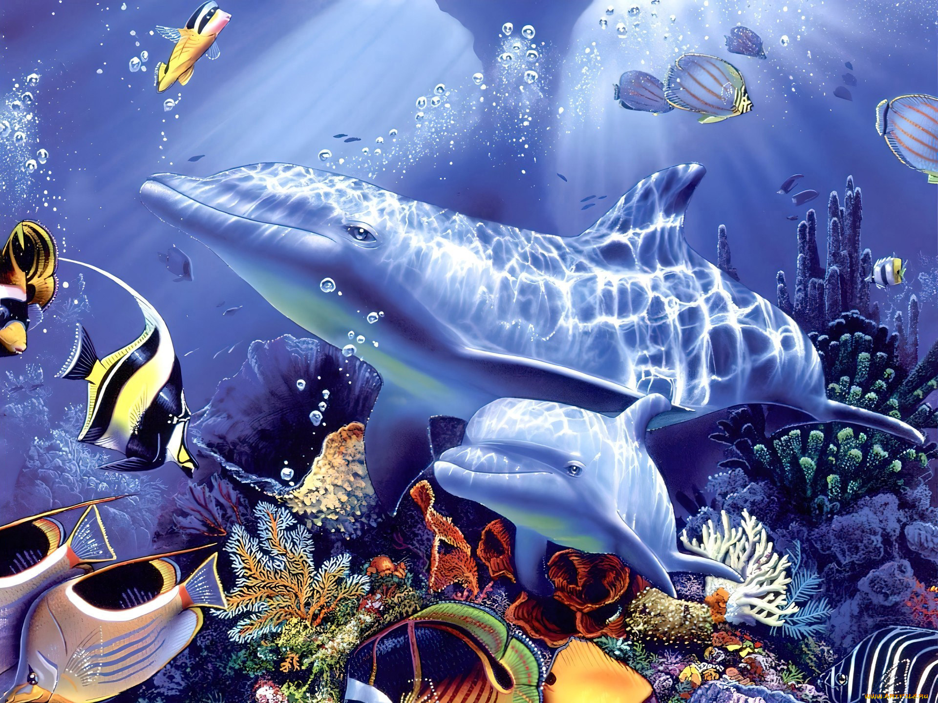 Алмазная мозаика дельфины 40х50. Алмазная живопись дельфины 40x50. Морские обитатели. Обитатели морей и океанов.